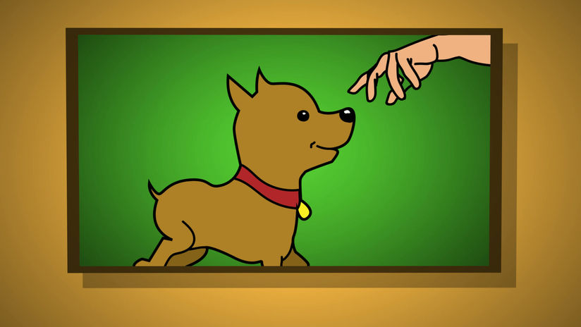 Fake App Campaign